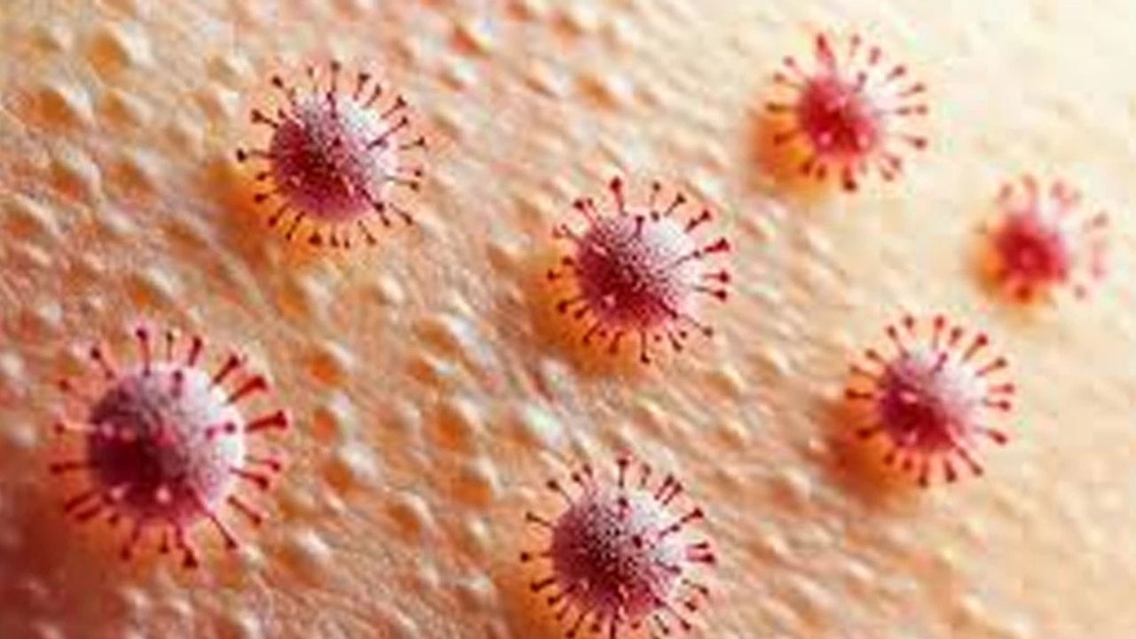 Candida Mantarı Bağışıklığı Zorluyor: Vücutta Sessizce Yayılıyor