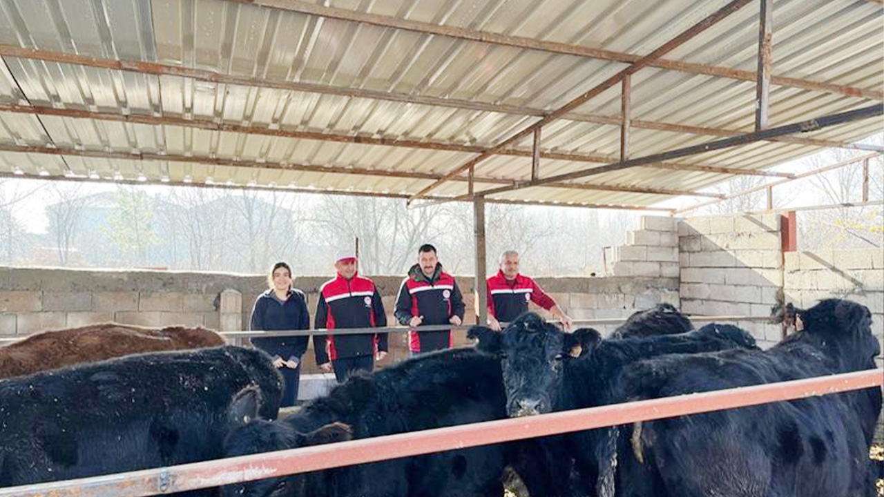Kırsalda Bereket Projesi Yozgat’ta devam ediyor