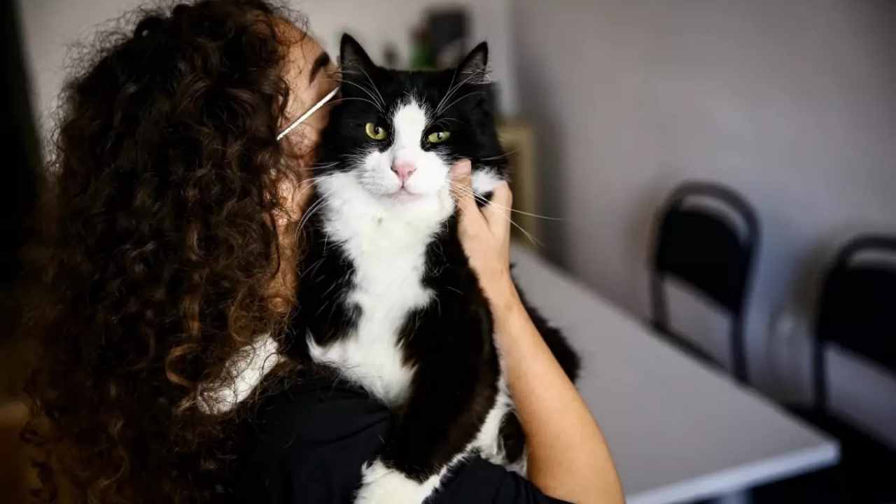 Evcil Hayvanlara Çip Takma Süresi Bitiyor: Ceza 10 Bin TL'ye Çıkacak