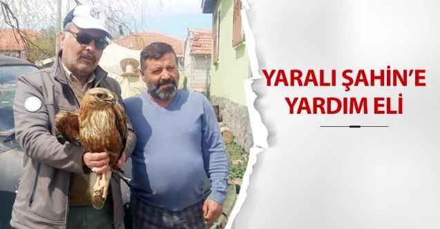 Yaralı Şahin’e yardım eli