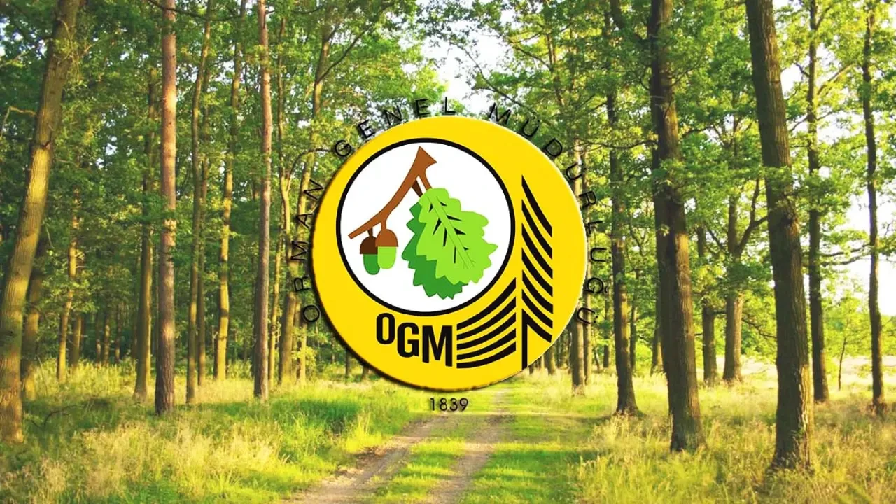 Yozgatlılar Dikkat: Orman Genel Müdürlüğü 26 Kişi Alacak, Başvurular Başladı