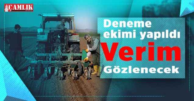 Yozgat'ta deneme ekimi yapıldı, verim gözlenecek