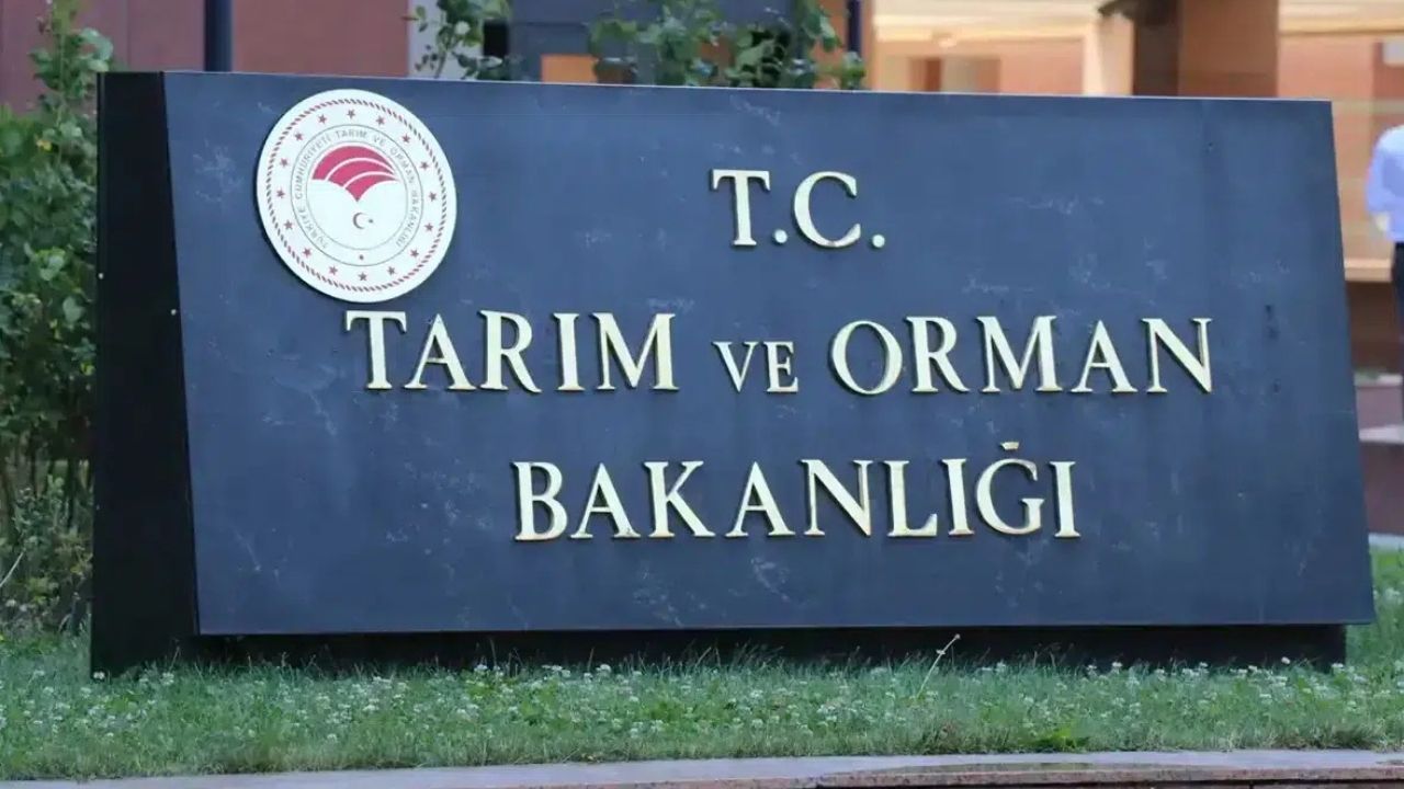 Doğa Koruma ve Milli Parklar Yozgat İçin Personel Alımı Yapıyor: İşte Detaylar