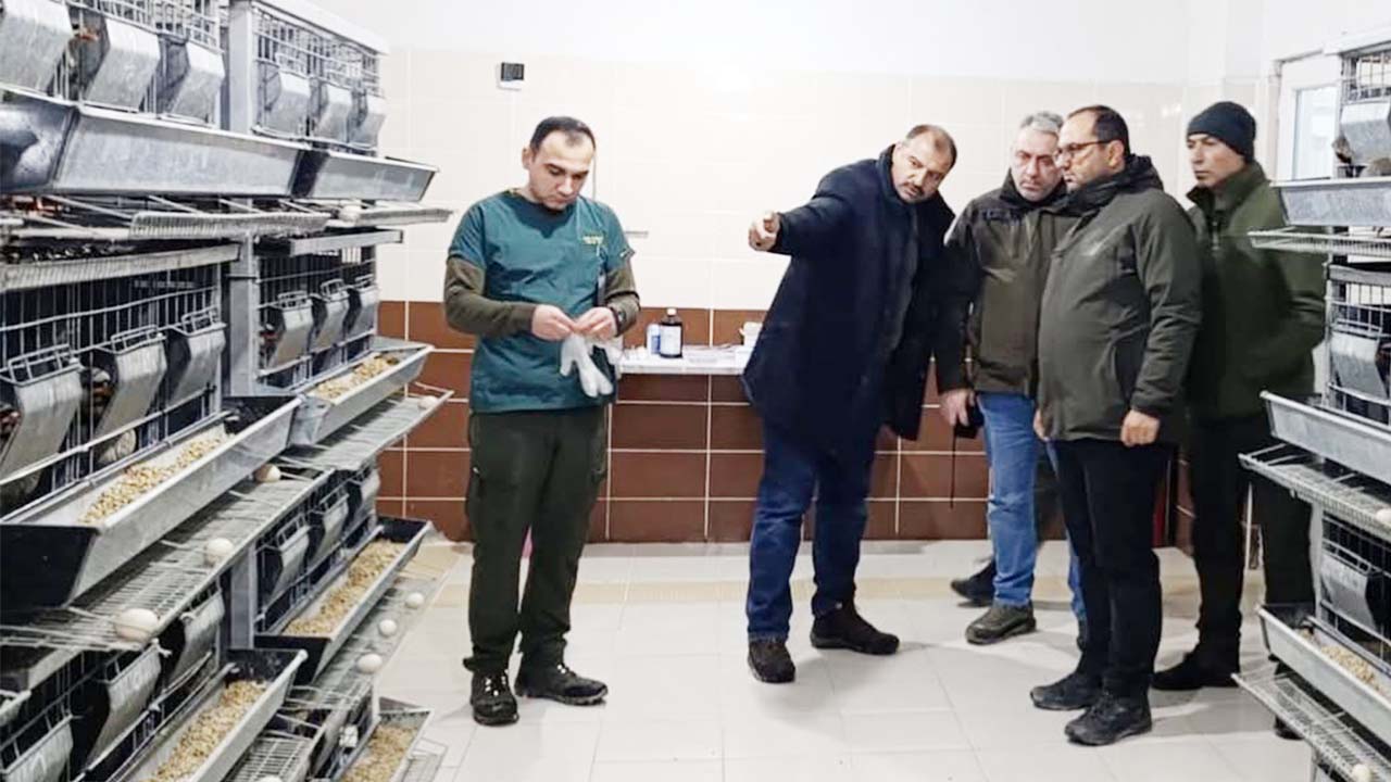 Yaban Hayatına Destek Büyüyor: Çalatlı Keklik İstasyonu Mercek Altında