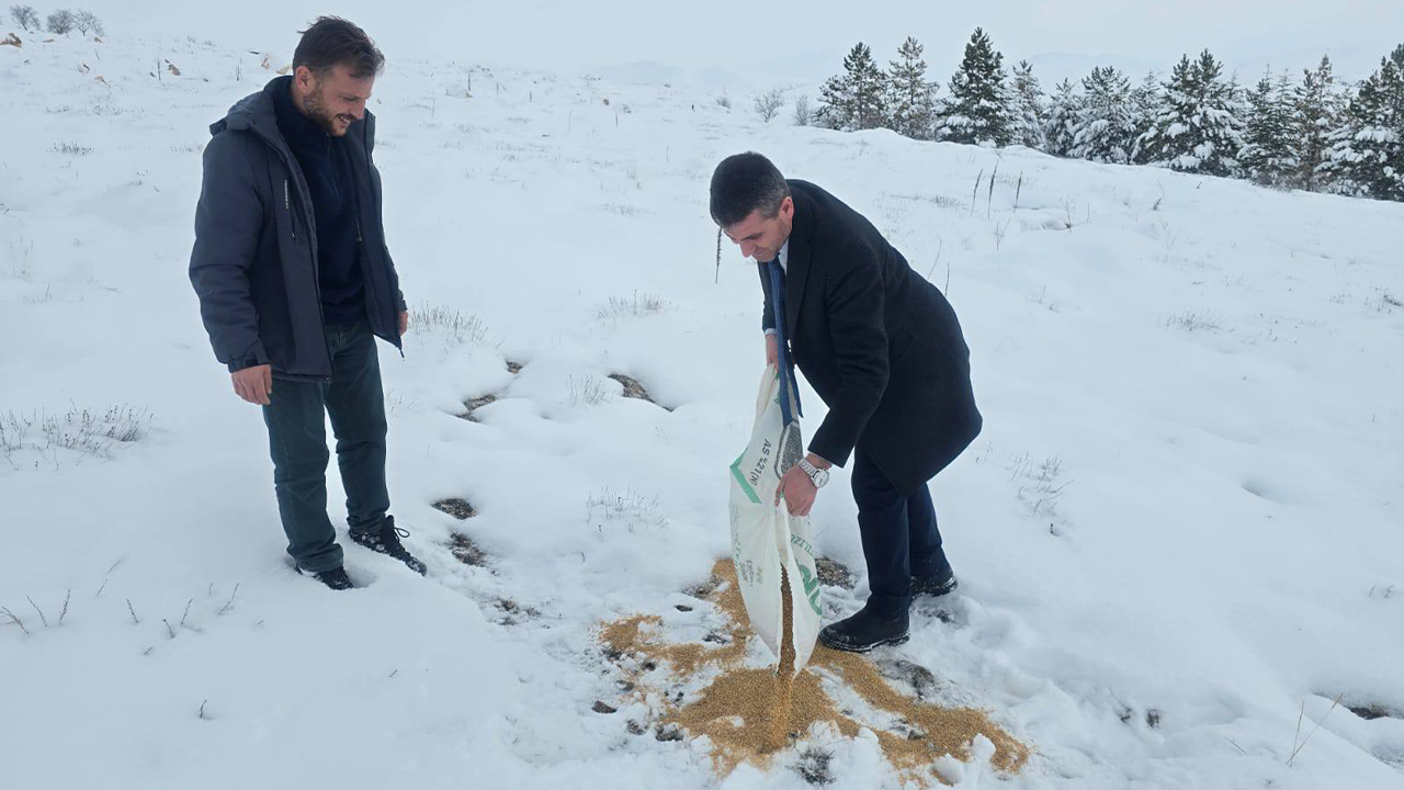 Çandır Belediyesi Kış Aylarında Doğadaki Canlılara Destek İçin Yiyecek Bıraktı
