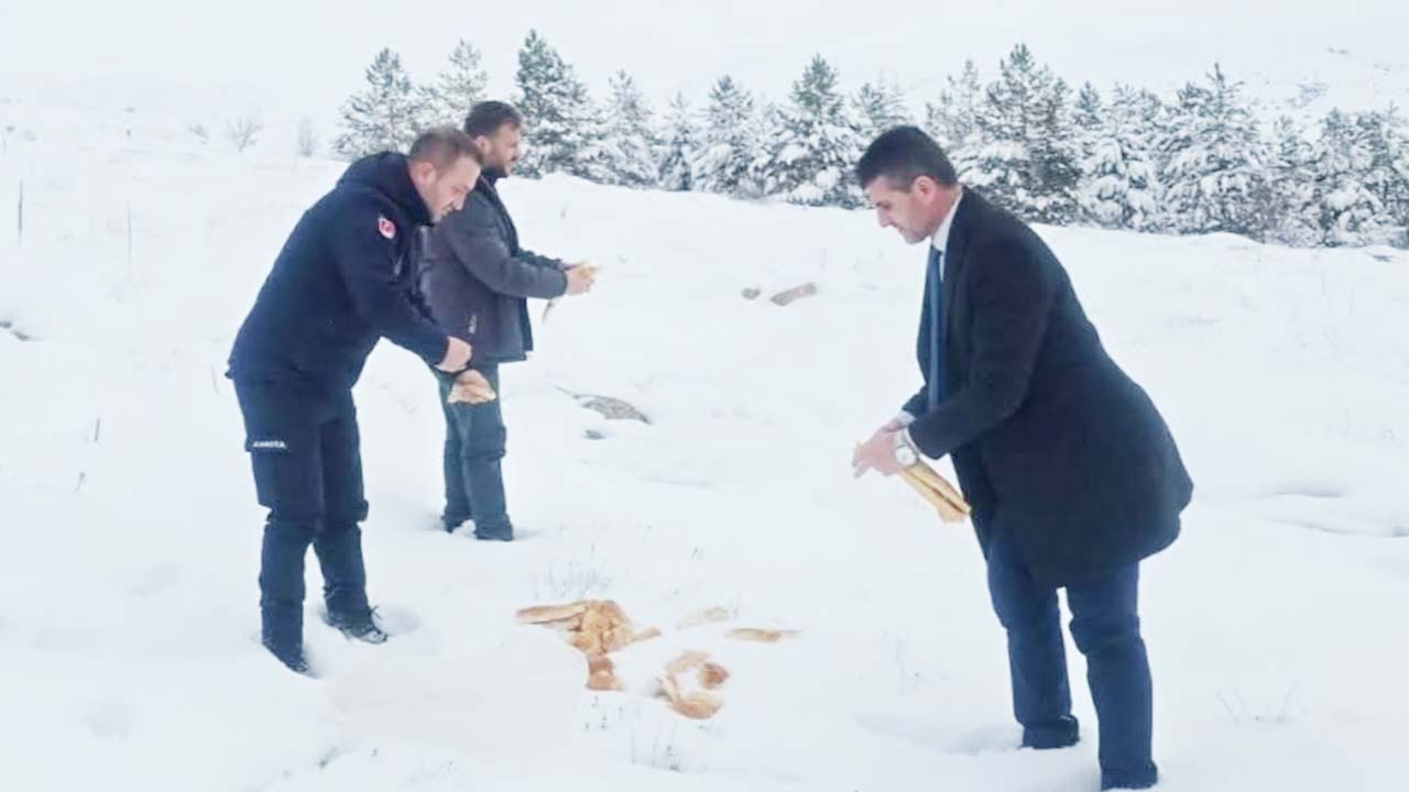 Soğuk Günlerde Sıcak Bir Dokunuş: Çandır Belediyesi Hayvanları Unutmadı