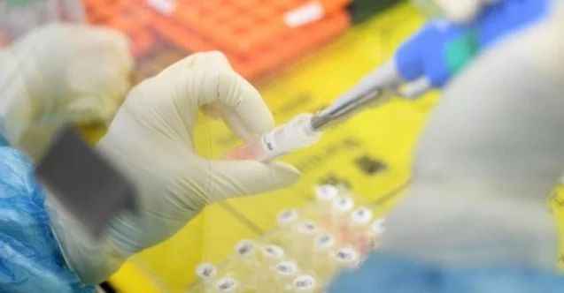 Covid-19 tanı laboratuvarı olan iller arasında Erzincan’da yer aldı
