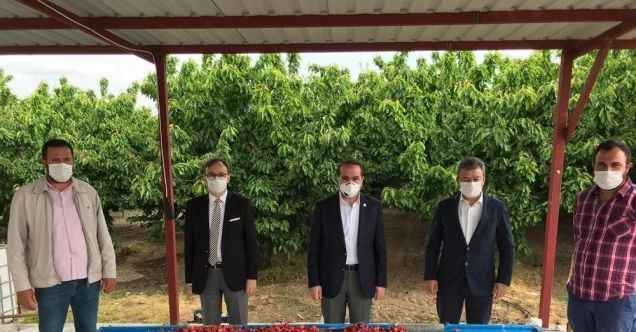 Bakan Pakdemirli, Kuzey Yarım Küre’nin ilk kiraz hasadına katıldı