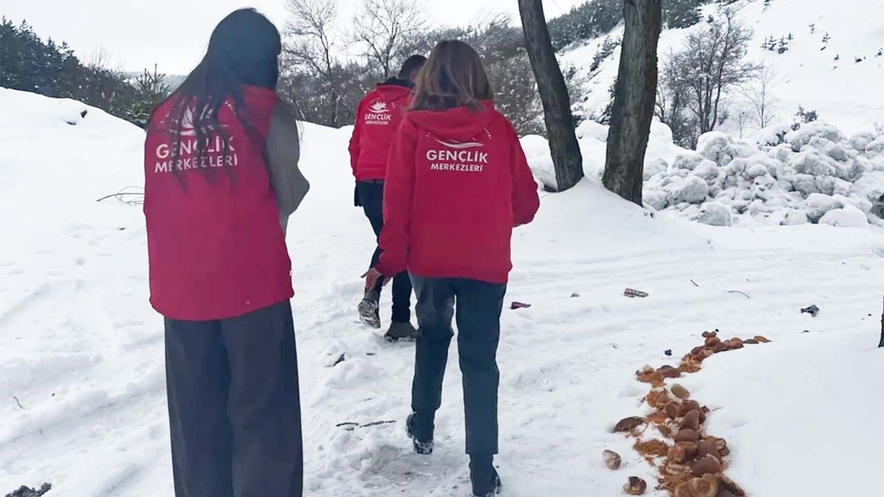Yozgat’ta Örnek Proje: Gıda Atıkları Yaban Hayatına Can Oldu