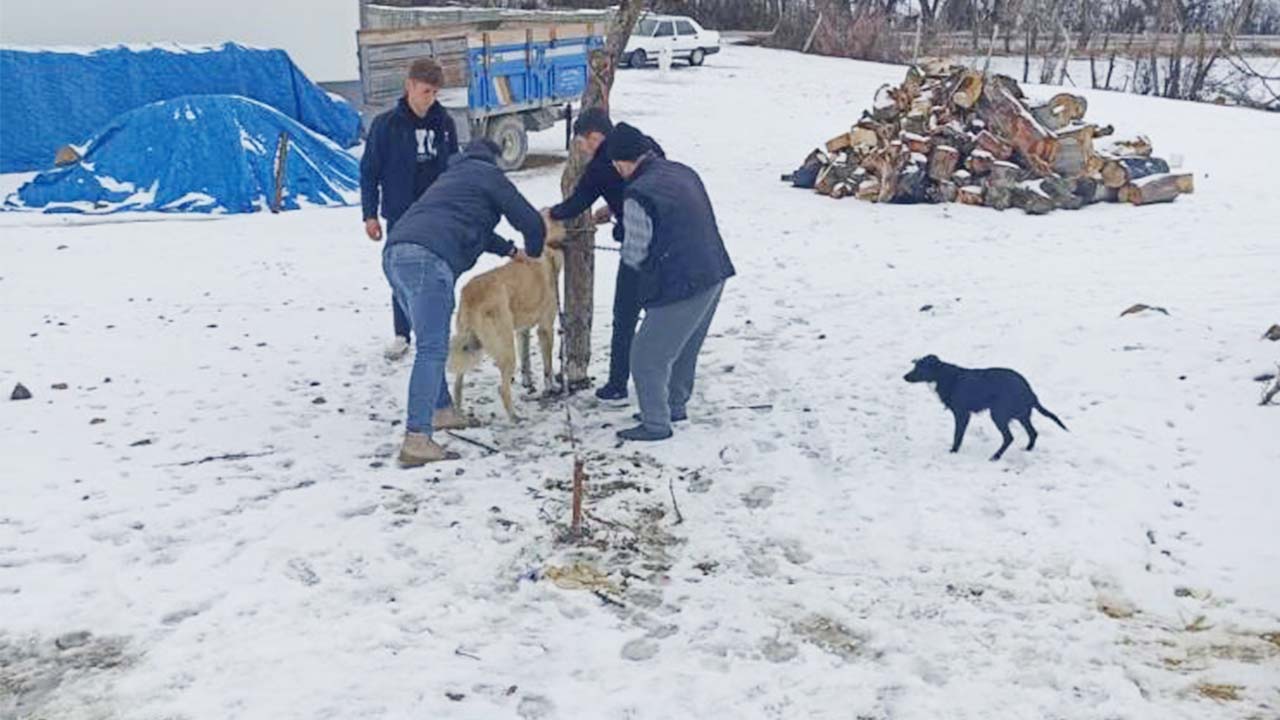 Yozgat’ta 7 Bin 548 Can Dost Kayıt Altında!