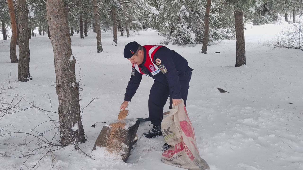 Yozgat’ta Soğuk Havada Can Dostlara Destek