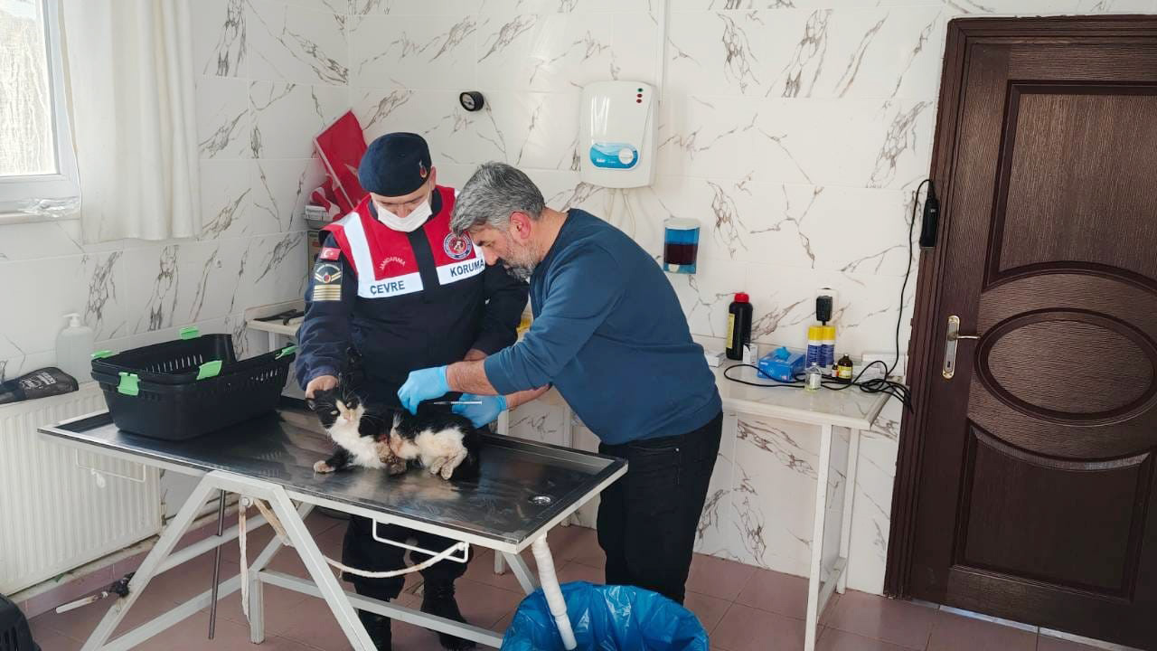 Yozgat'ta bacağı kopmak üzereydi! İmdadına  Jandarma yetişti