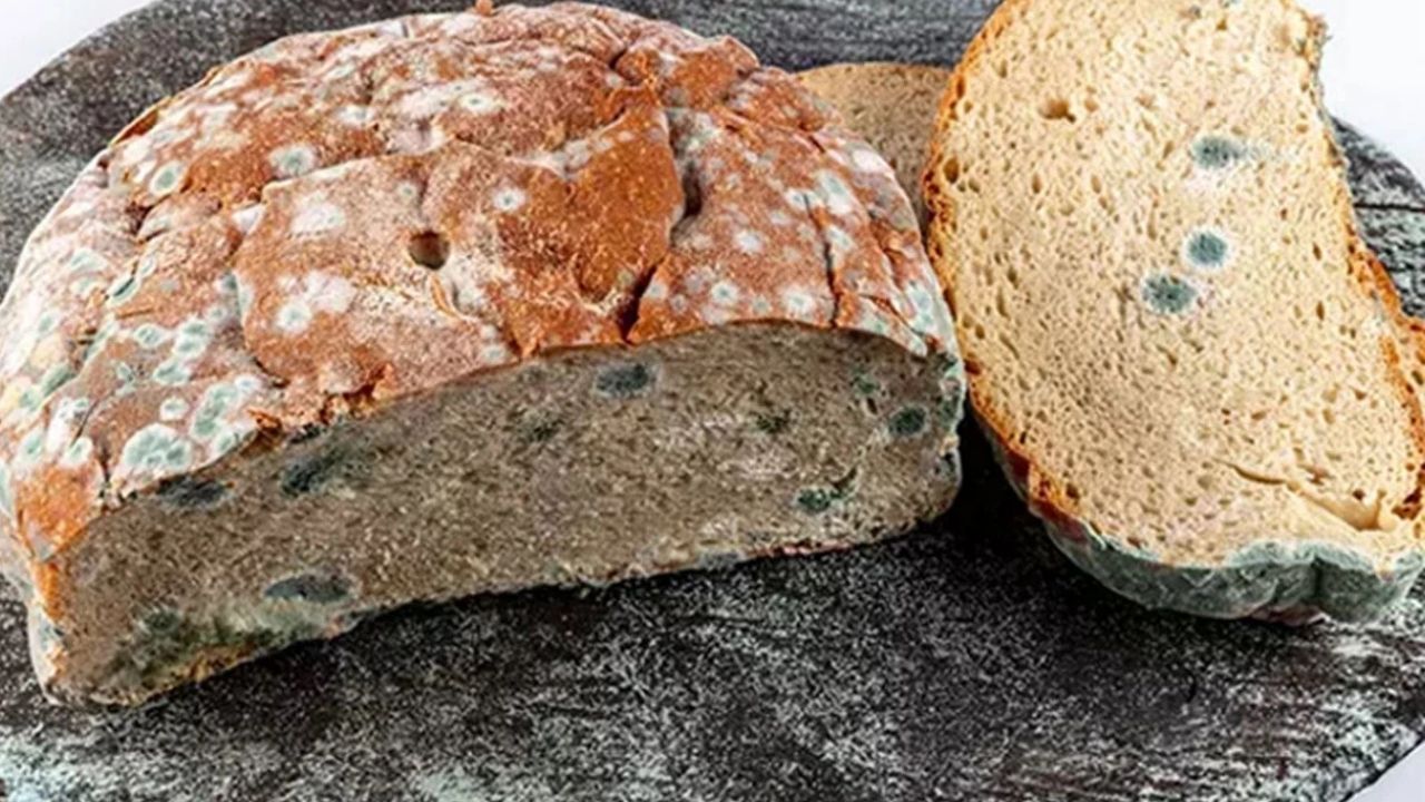 Küflü Diye Atmaya Kıyamıyoruz Ama… Bu Gıdalar Asla Tüketilmemeli