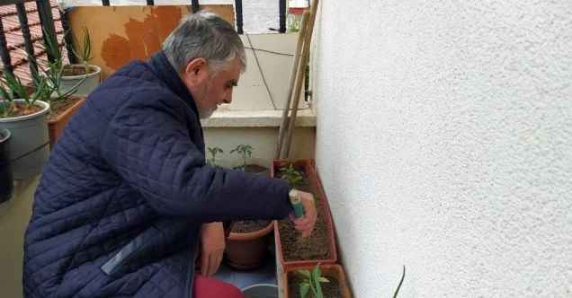 Korona günlerini balkonda sebze yetiştirerek geçiriyorlar