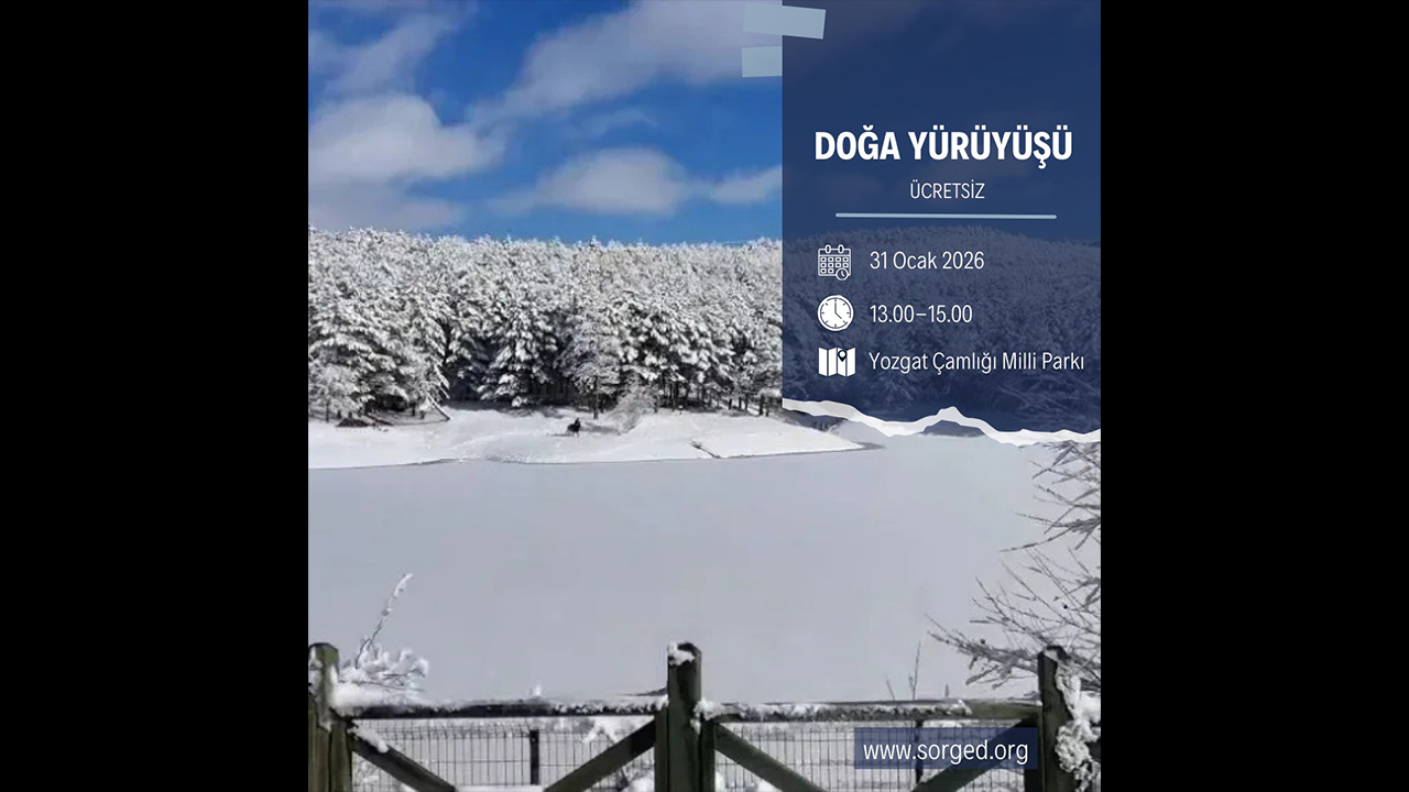 Ocak ayının son günü Yozgat Çamlığında ayak basmadık yer kalmayacak