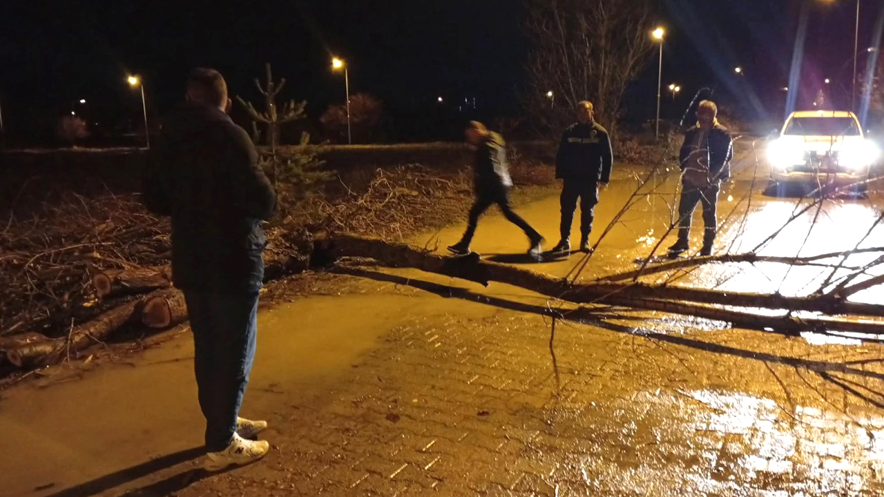 Son Dakika: Yozgat’ın o ilçesinde fırtına ağaçları devirdi