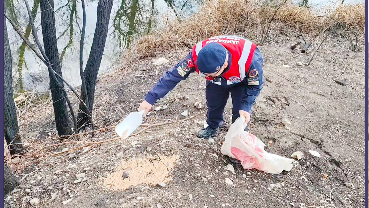 Karanlıkdere Devlet Avlağı’nda Doğa İçin Seferberlik
