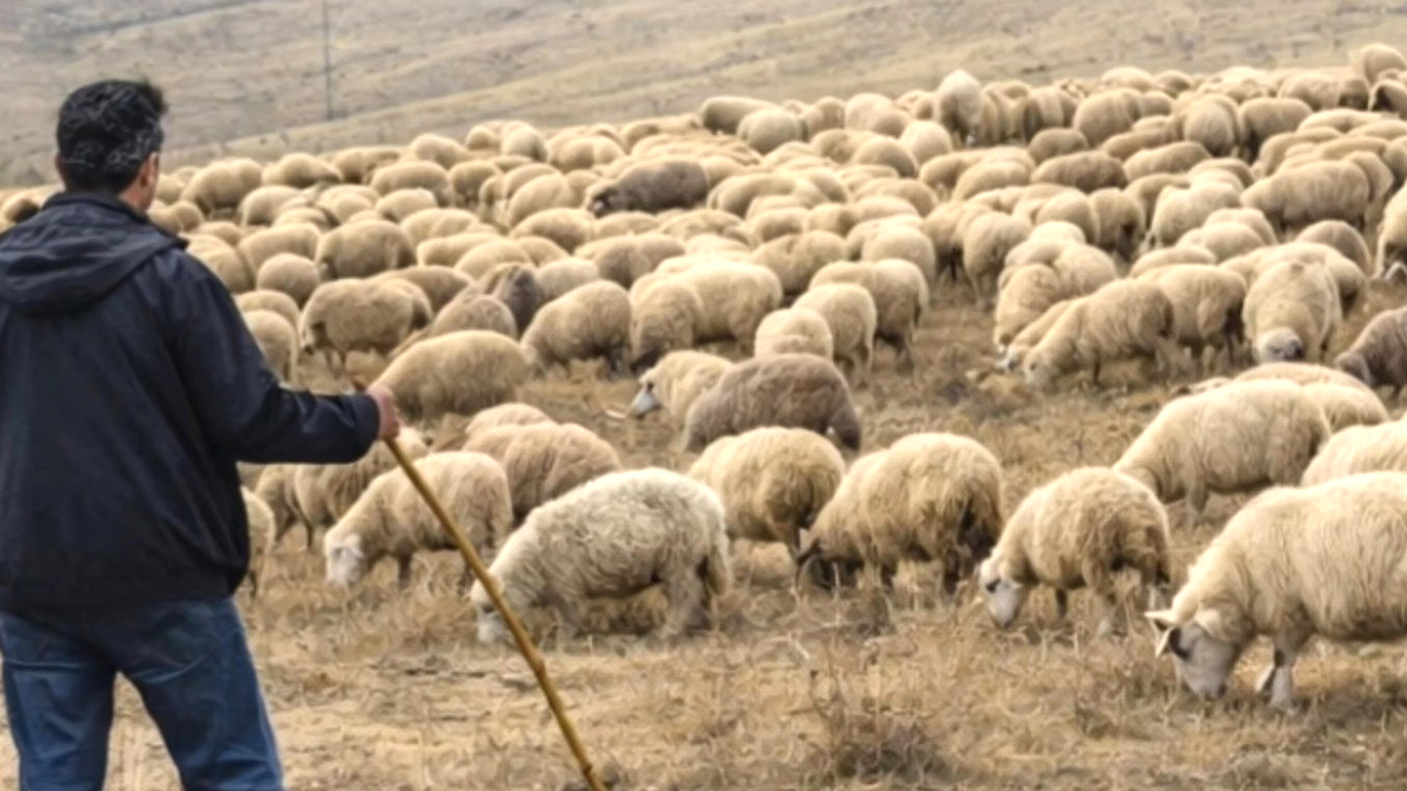 Yozgat’ta Köyümde Yaşamak İçin Bir Sürü Nedenim Var Projesine Büyük İlgi