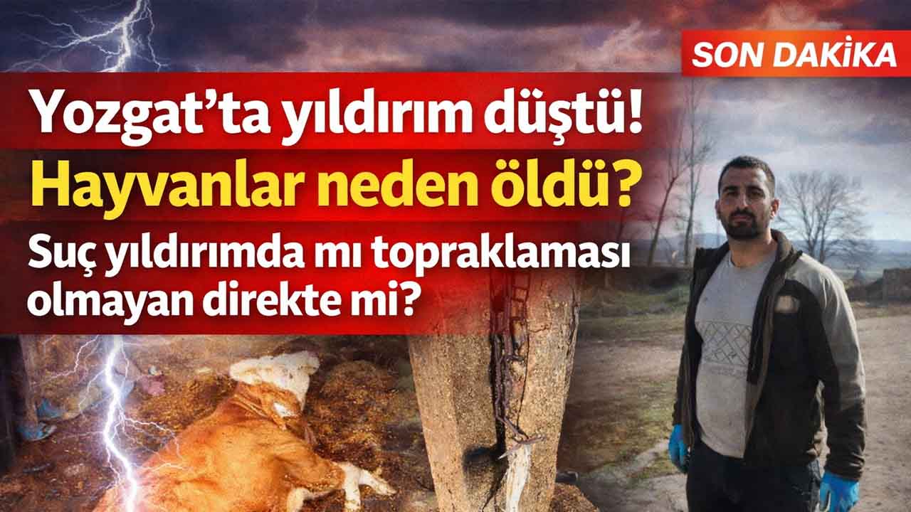 Yozgat Sarıkaya’da ahıra yıldırım düştü: hayvanlar telef oldu!