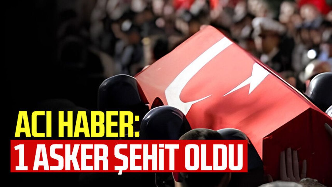 MSB Açıkladı! 1 Asker Şehit Oldu