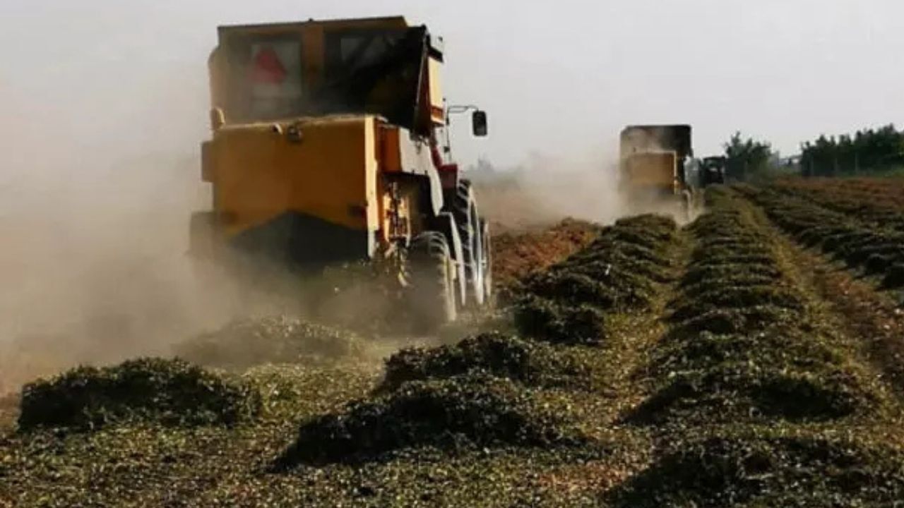 Çiftçiye Dev Destek Paketi Açıklandı: Mazot, Gübre ve Hayvancılık Destekleri Artırıldı