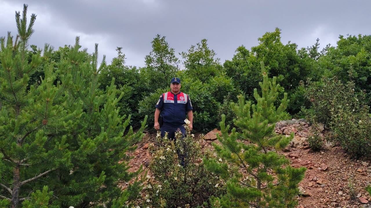 Yozgat’ta Doğa Denetimi! Jandarma Ormanlık Alanlarda Kontrol Yaptı