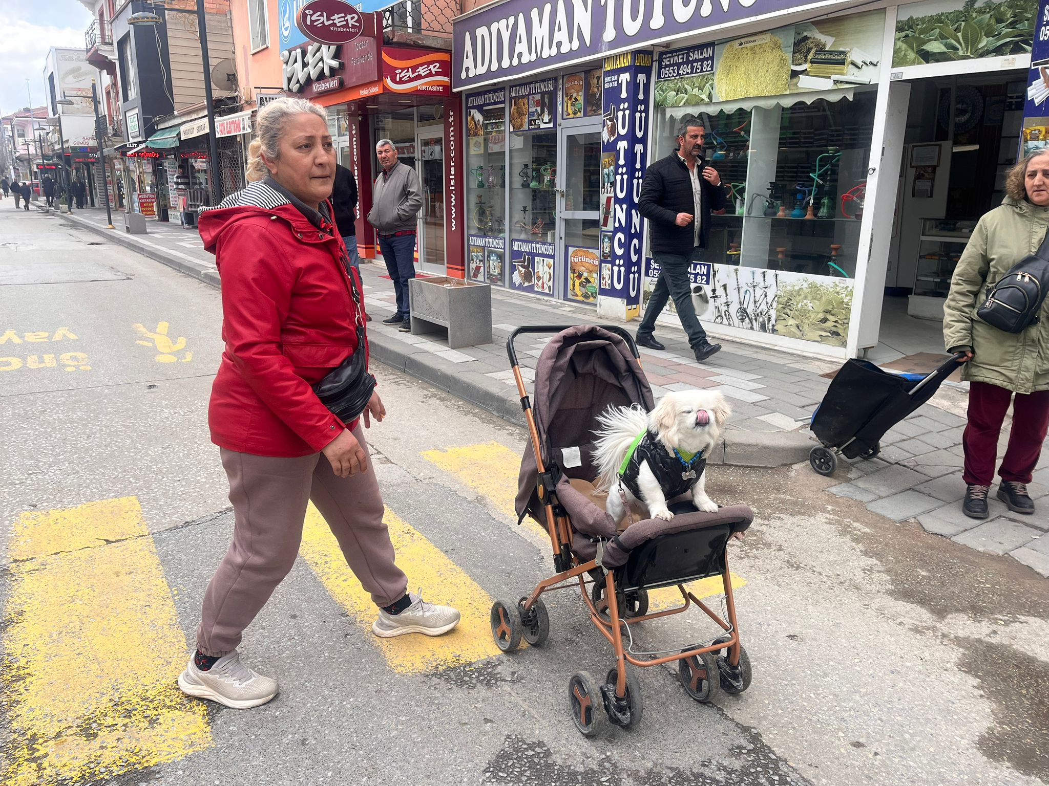 Yerköy’de Bebek Arabasında Gezdirilen “Leydi” Sosyal Medyada İlgi Odağı Oldu