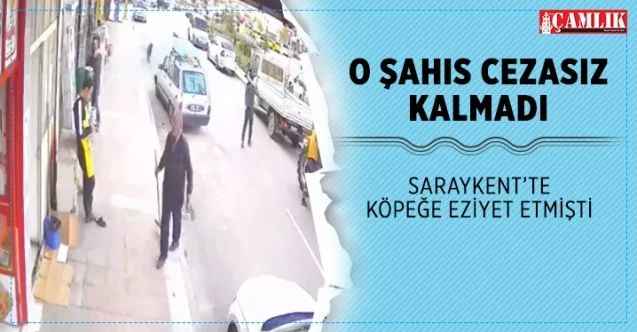 Saraykent'te köpeğe eziyet eden cezasız kalmadı