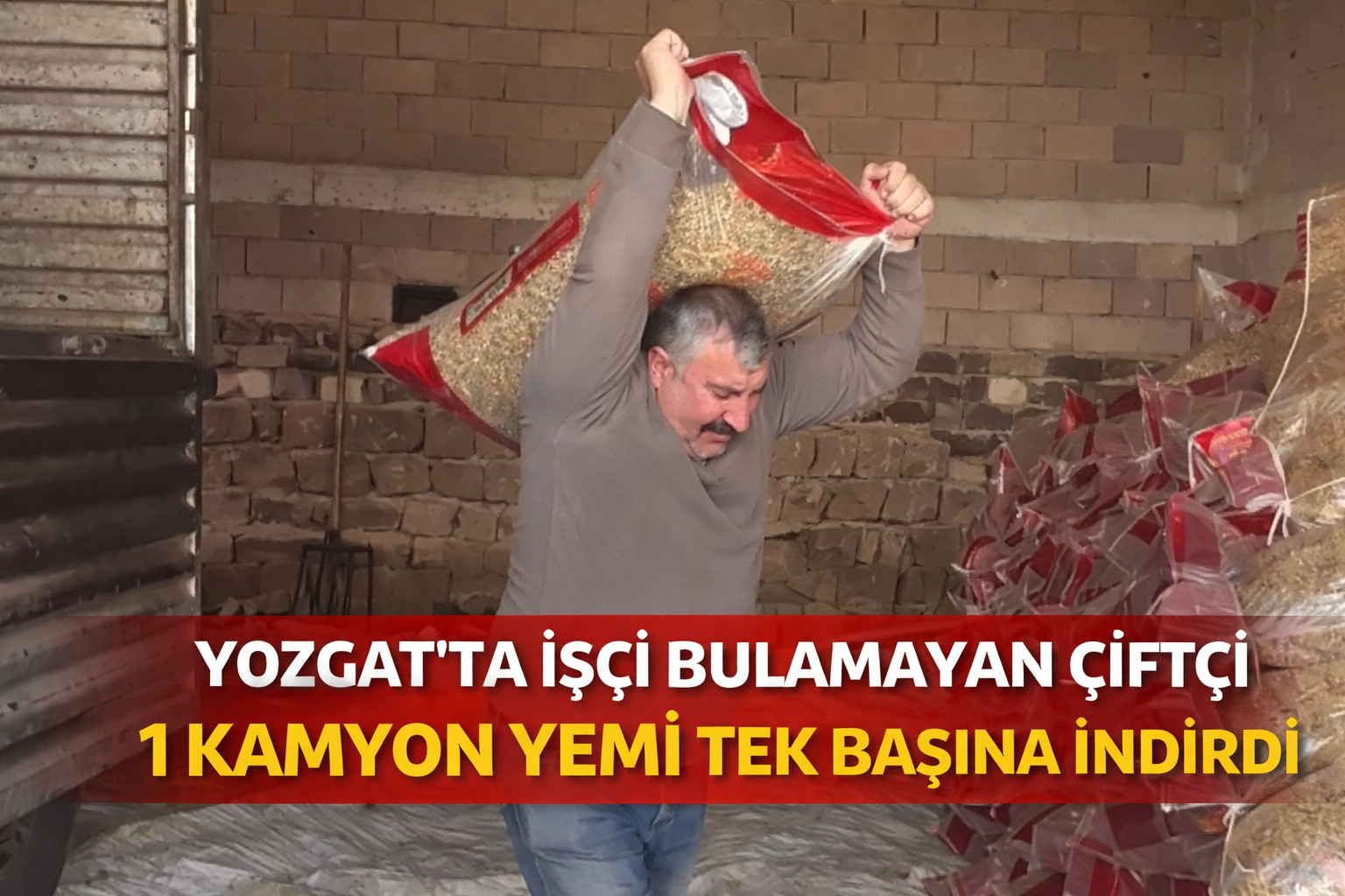 Yozgat'ta İşçi Bulamayan Çiftçi 1 Kamyon Yemi Tek Başına İndirdi