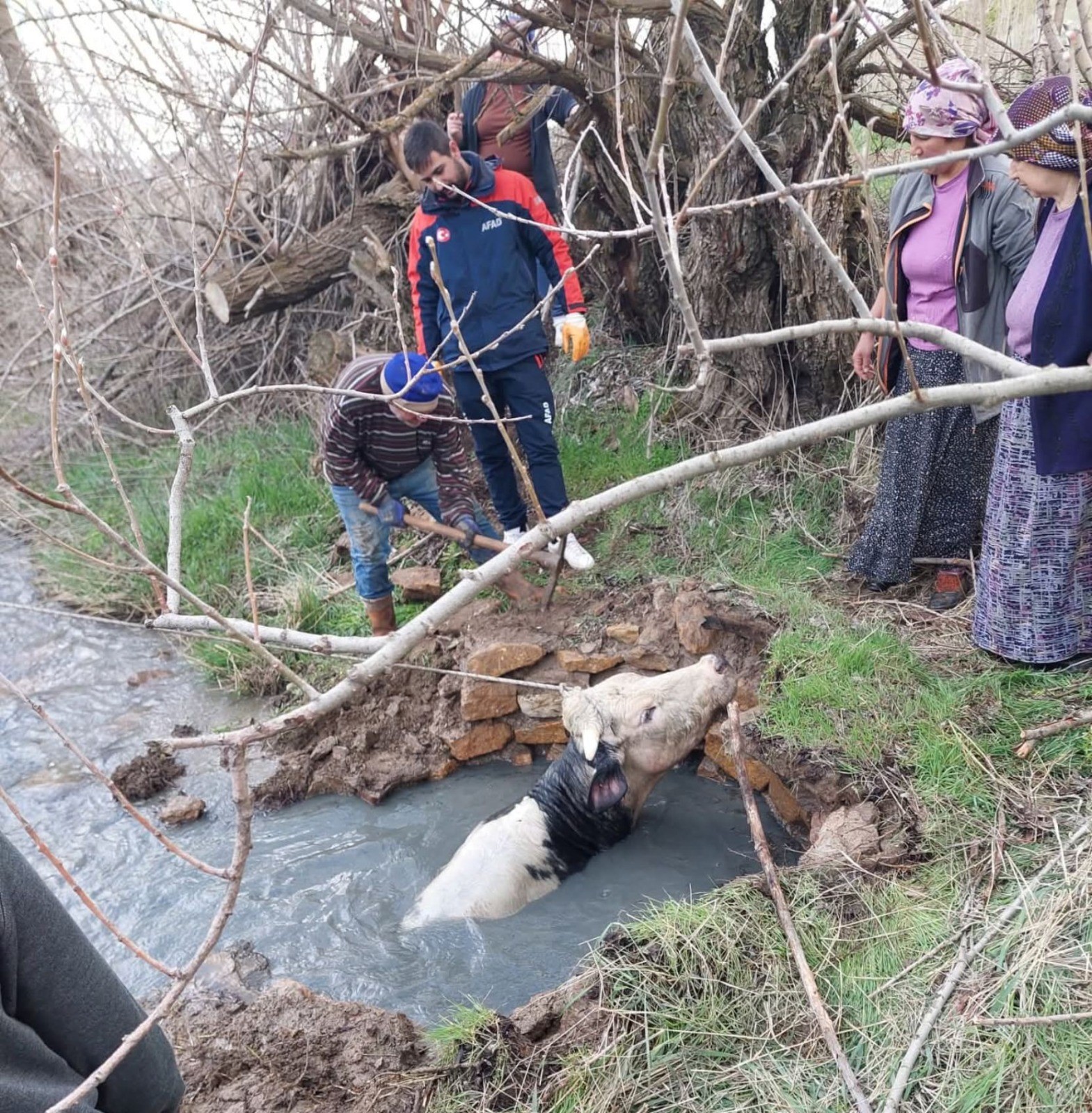 Yozgat’ta Kuyuya Düşen Büyükbaş Hayvan AFAD Ekiplerince Kurtarıldı