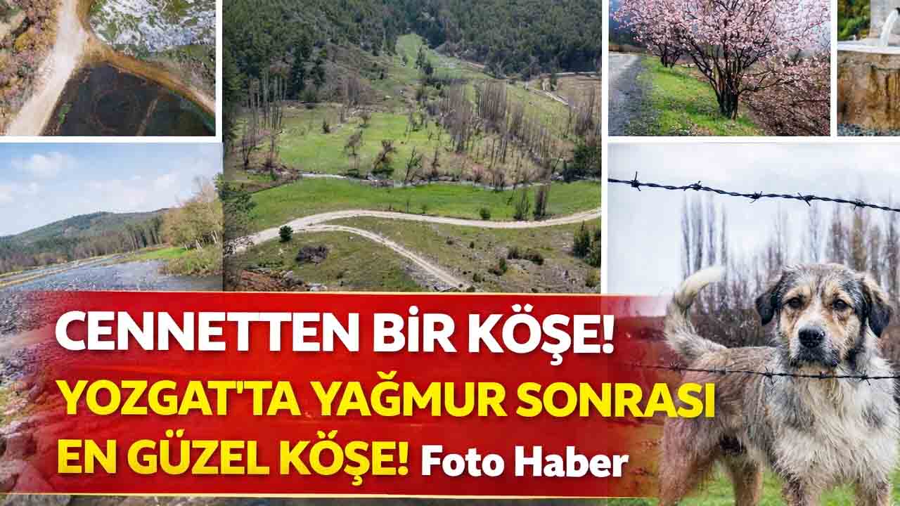 Yozgat Akdağmadeni’nde Yağmur Sonrası Büyüleyen Manzara: Bozok Yaylası Yeşile Büründü