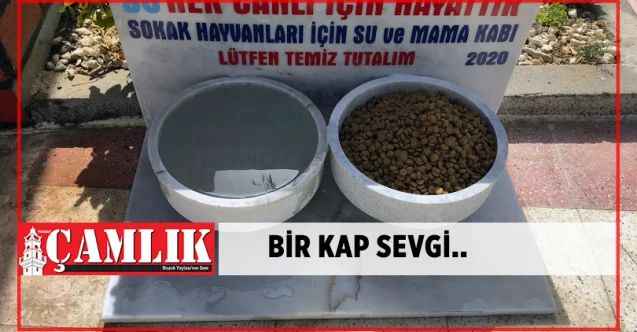 Yerköy Belediyesi sokak hayvanlarını unutmadı
