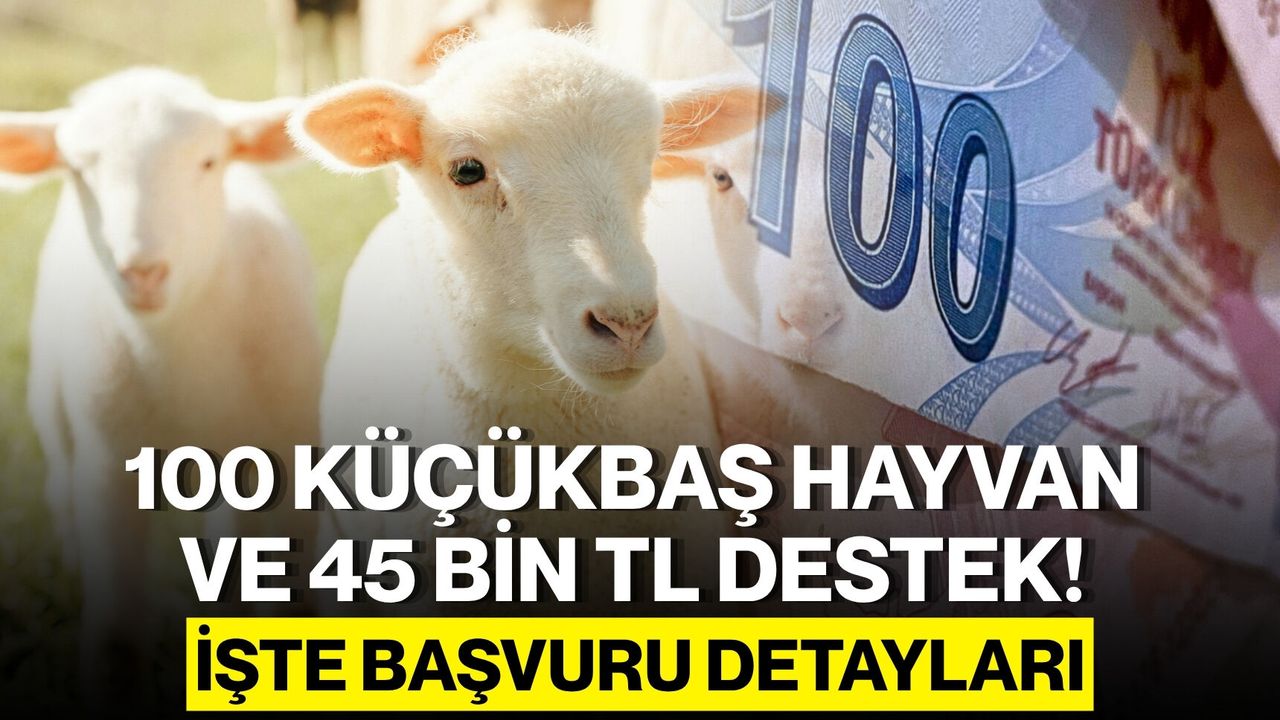 100 Küçükbaş Hayvan ve 45 Bin TL Destek Başladı: Başvuru Şartları ve Detaylar Açıklandı