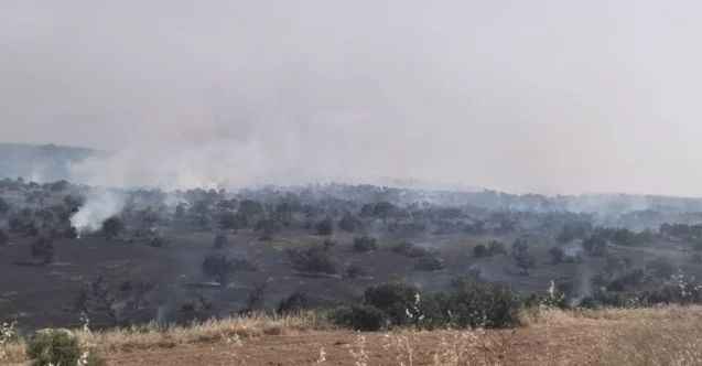 KKTC’de üç farklı bölgede yangın devam ediyor