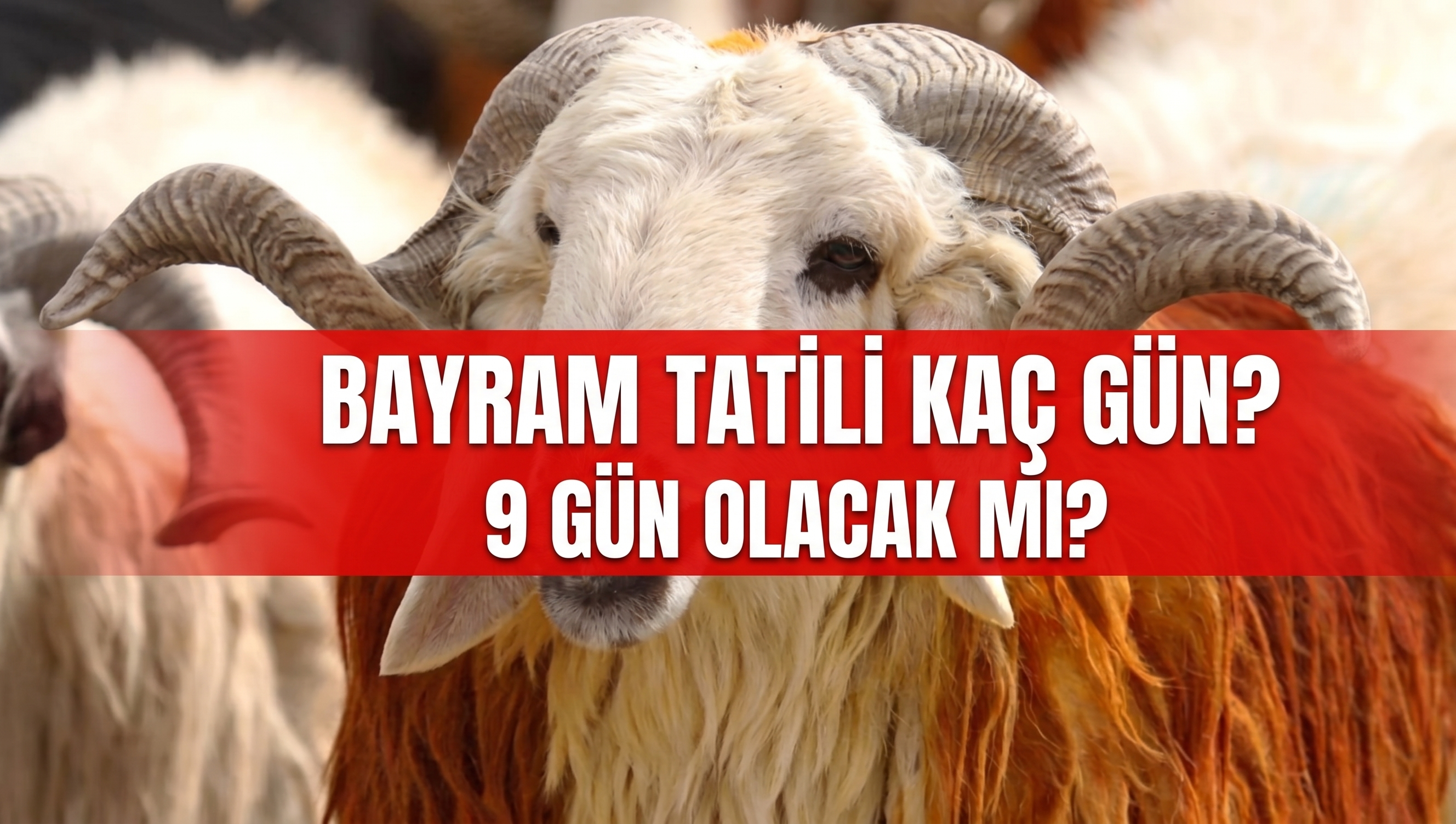 Kurban Bayramı Tatili 9 Gün Mü Olacak? Gözler Resmî Açıklamada!