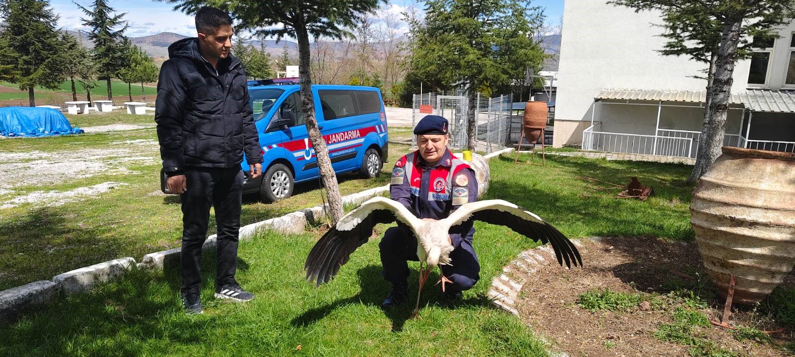 Yozgat’ta Hasta Leylek Kurtarıldı