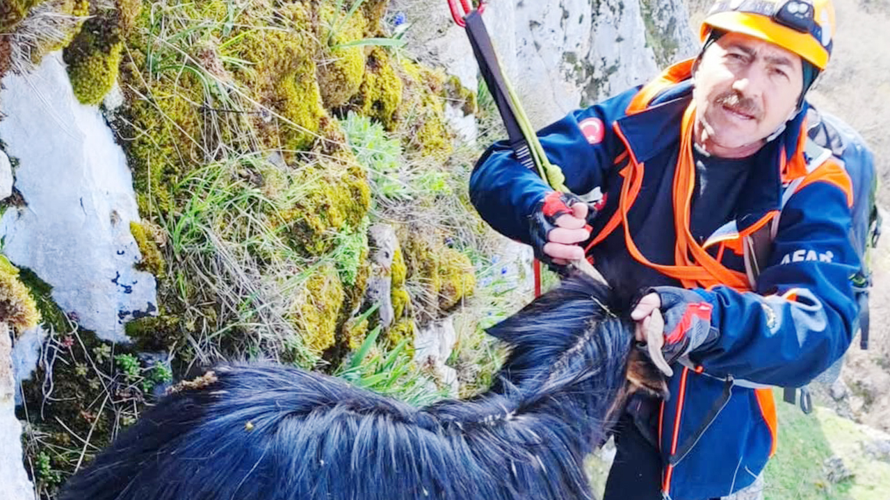 Yozgat’ta nefes kesen kurtarma! Keçiyi böyle kurtardılar: