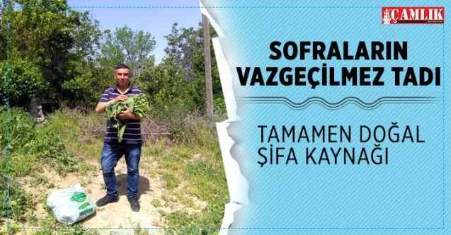 Sofraların vazgeçilmez lezzeti tamamen doğal efelik otu