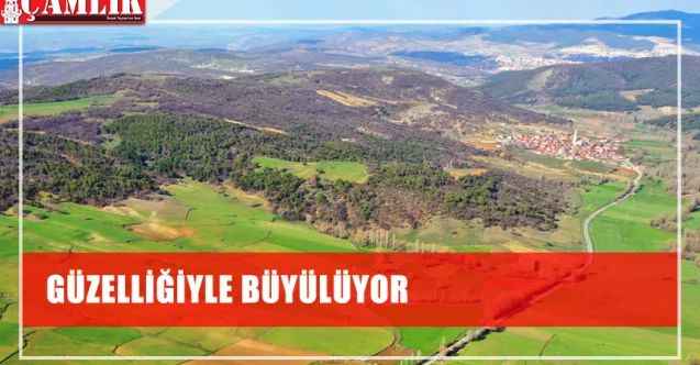 Akdağmadeni ormanları güzelliğiyle büyülüyor