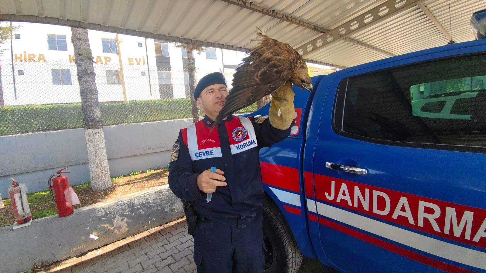 Boğazlıyan'da Yaralı Şahin Kurtarıldı