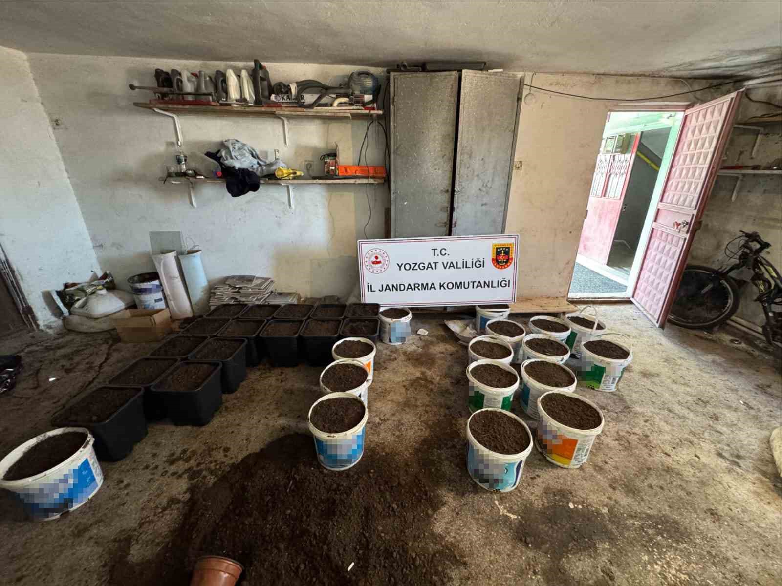 Yozgat’ta Zehir Operasyonu: Evlerden Yetiştirme Düzeneği Çıktı!
