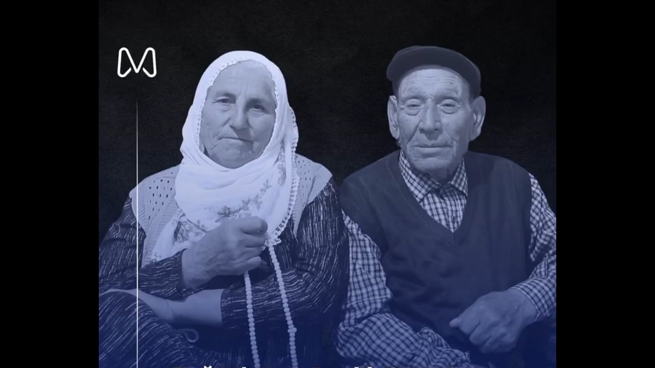 Boğazlıyan’ın Asırlık Çınarı'ndan acı haber