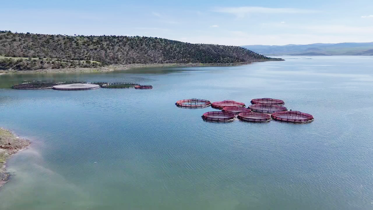 Yozgat’ta yapmak için akla gelecek son iş ona servet kazandırdı!