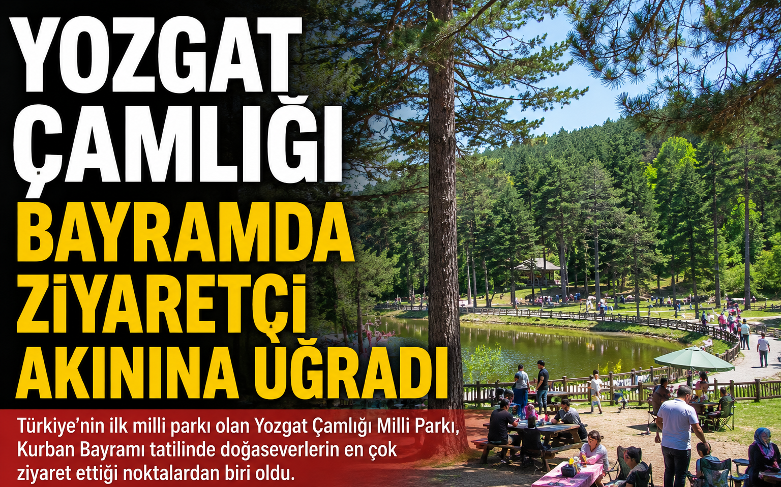 Yozgat Çamlığı Bayramda Ziyaretçi Akınına Uğradı