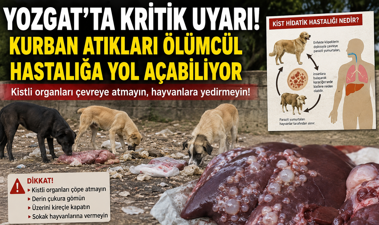 Yozgat’ta Kritik Uyarı! Kurban Atıkları Ölümcül Hastalığa Yol Açabiliyor