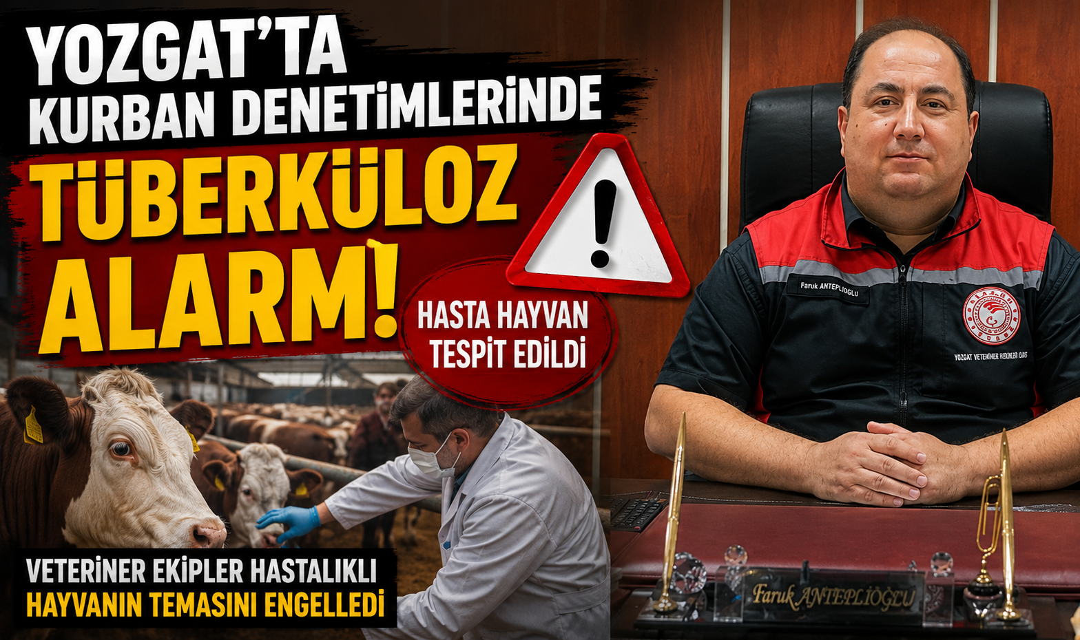 Yozgat’ta Kurban Denetimlerinde Tüberküloz Alarmı! Hasta Hayvan Tespit Edildi