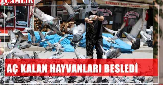 Oktay Yıldırım, aç kalan sokak hayvanlarını elleriyle besledi