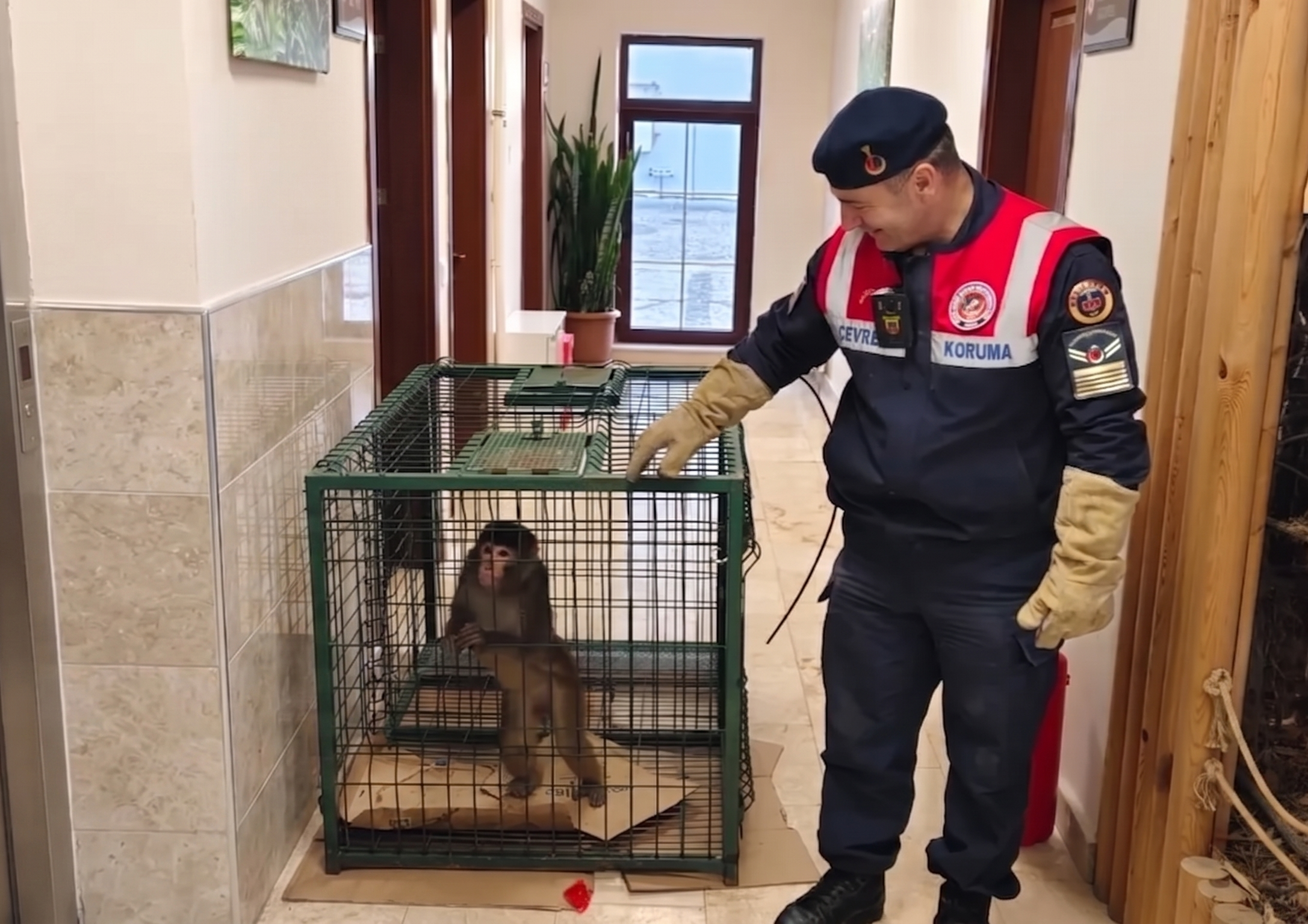 Yozgat’ta Şaşırtan Olay! Yasa Dışı Tür Yakalandı, Koruma Altına Alındı