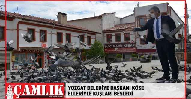 Başkan Köse, elleriyle kuşları besledi