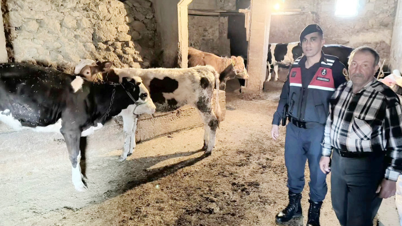 Hayvanları kayboldu jandarma buldu: Yozgat’ta kayıp hayvan operasyonu!